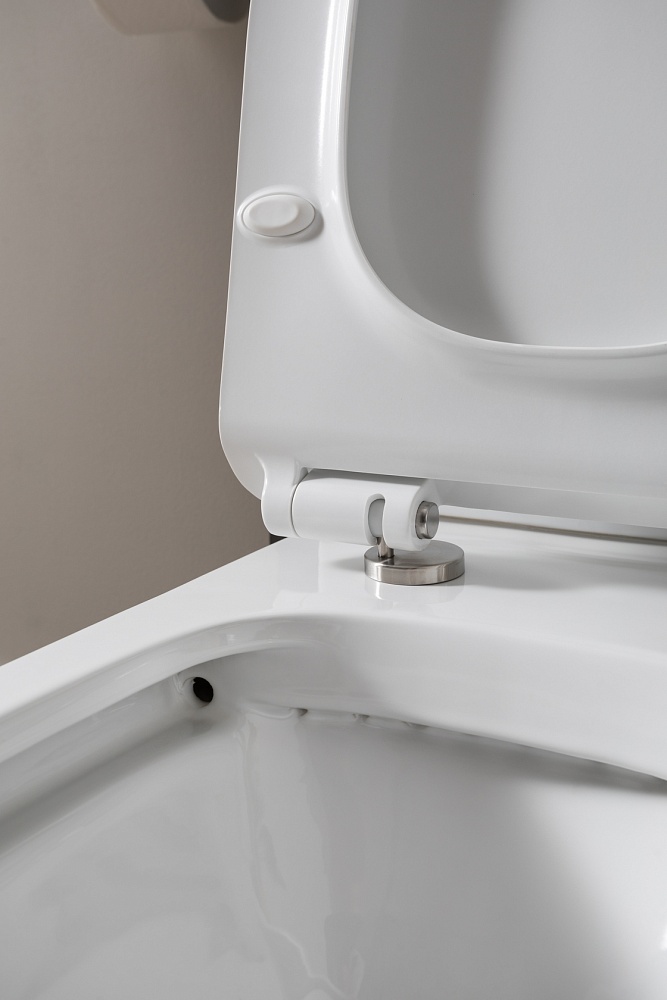 Чаша напольного унитаза Aquanet Rimless Nova-C1 BL-101N-TPT-A