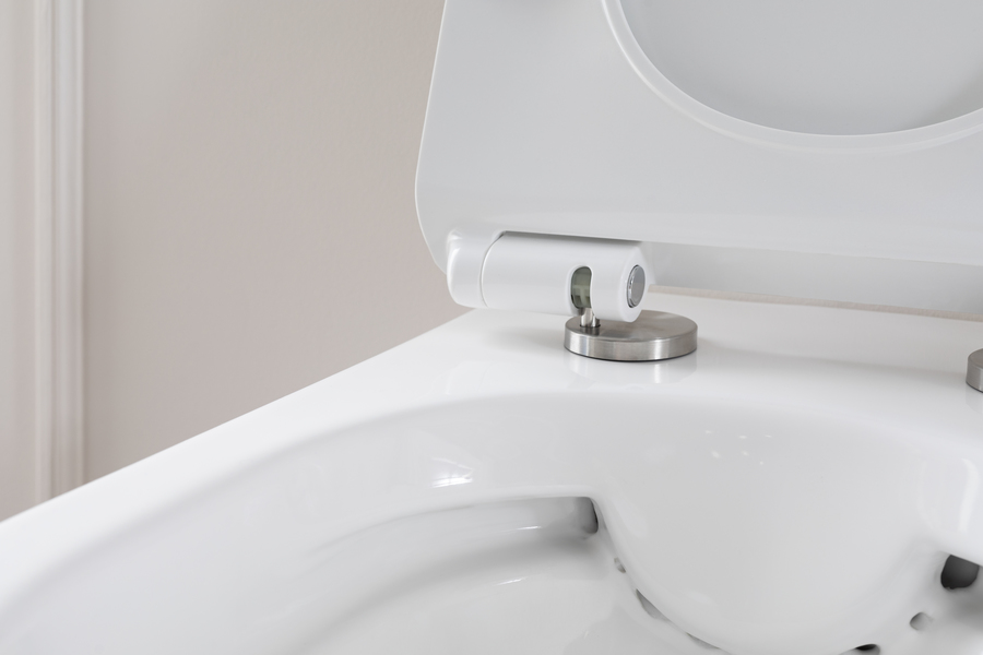 Унитаз подвесной Aquanet Rimless Roll-W CL-12249D