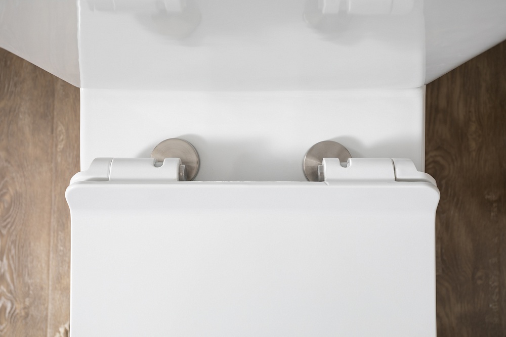 Чаша напольного унитаза Aquanet Rimless Nova-C1 BL-101N-TPT-A